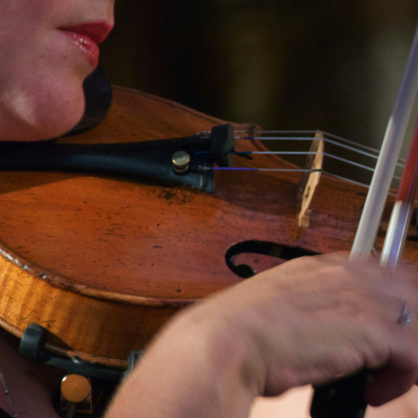 Close-up profile of a woman playing the violin.