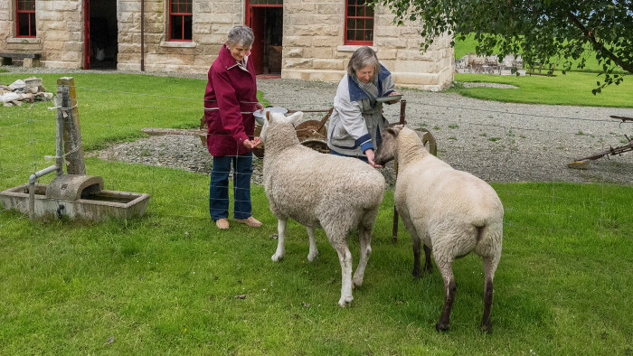 Two female visitors feeding sheep at Totara Estate