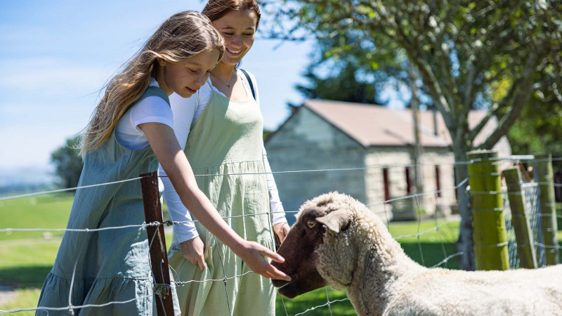 Two girls feeding a sheep.