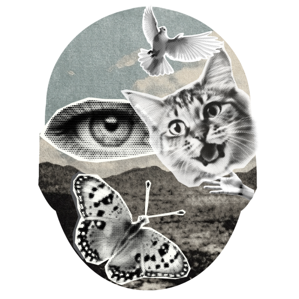 Graphics of the shape of a head with a collage of effects containing an eye, a dove, a kitten's face, a hand and a butterfly.