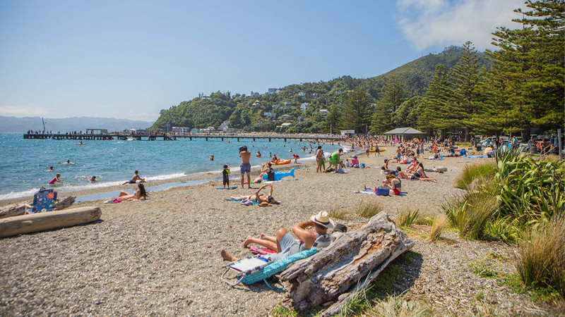 People enjoying a summer's day at Days Bay Beach in Hutt Valley